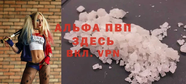 индика Бородино