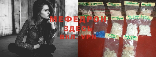 индика Бородино