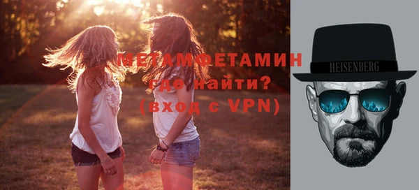 индика Бородино