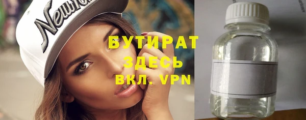 индика Бородино