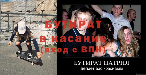 индика Бородино