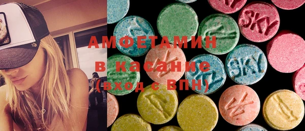 индика Бородино
