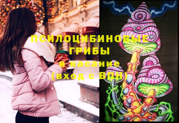 индика Бородино
