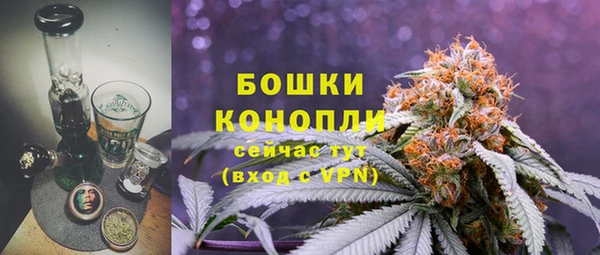 индика Бородино