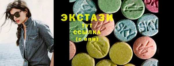 индика Бородино