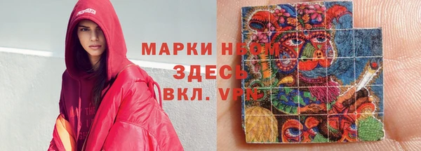 индика Бородино
