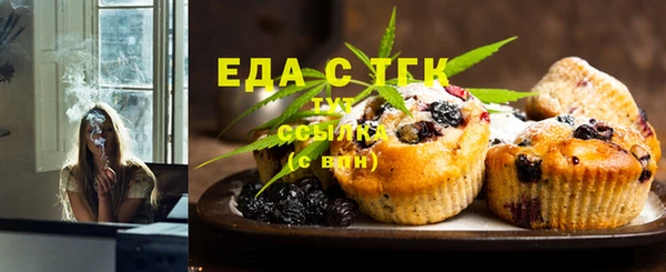 индика Бородино