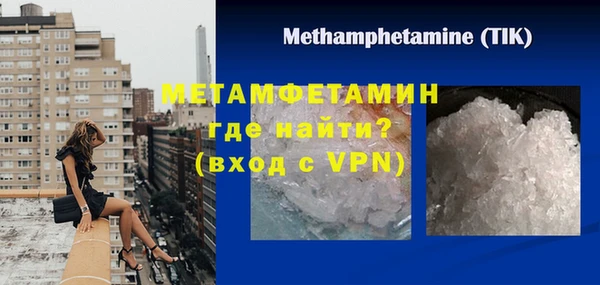 индика Бородино